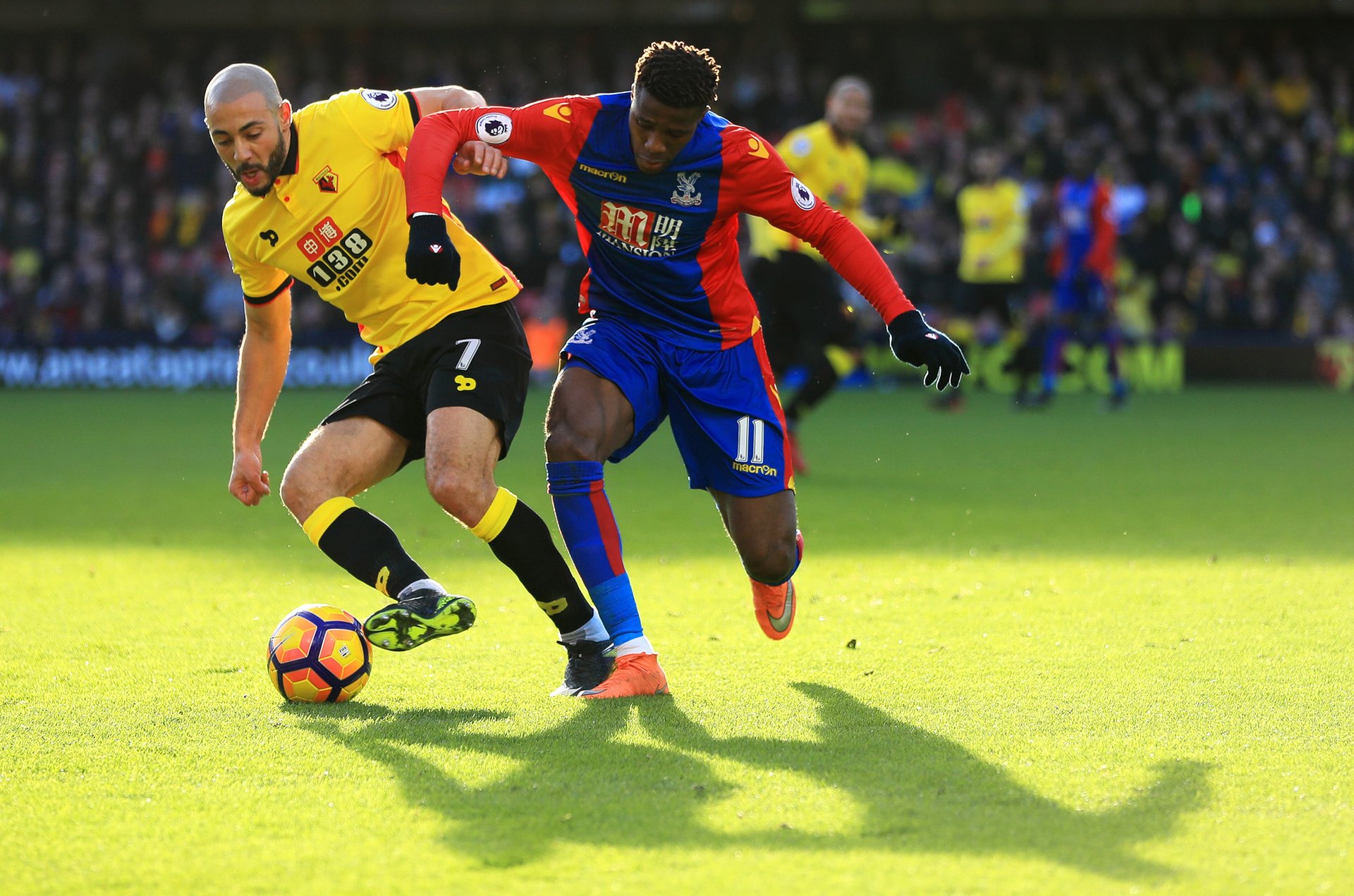 成从青年联 成从青年联